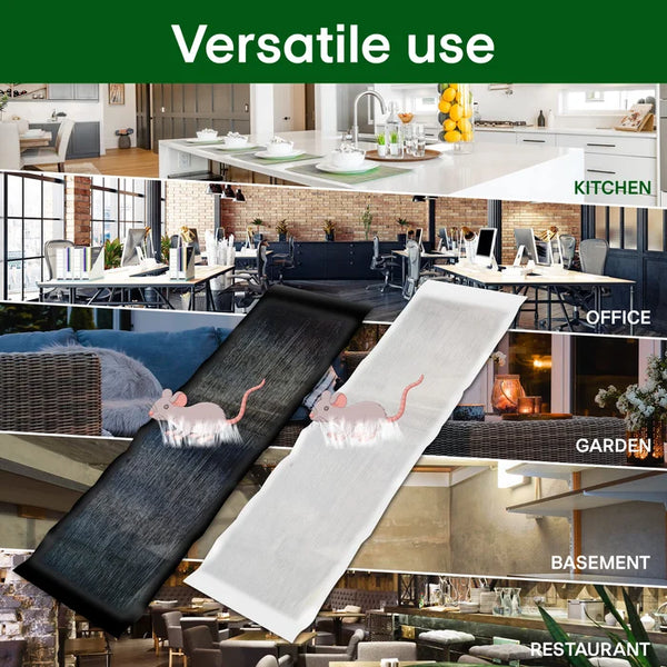 【vegyen egyet és kapjon egyet ingyen】Nagy ragacsos egérfogó