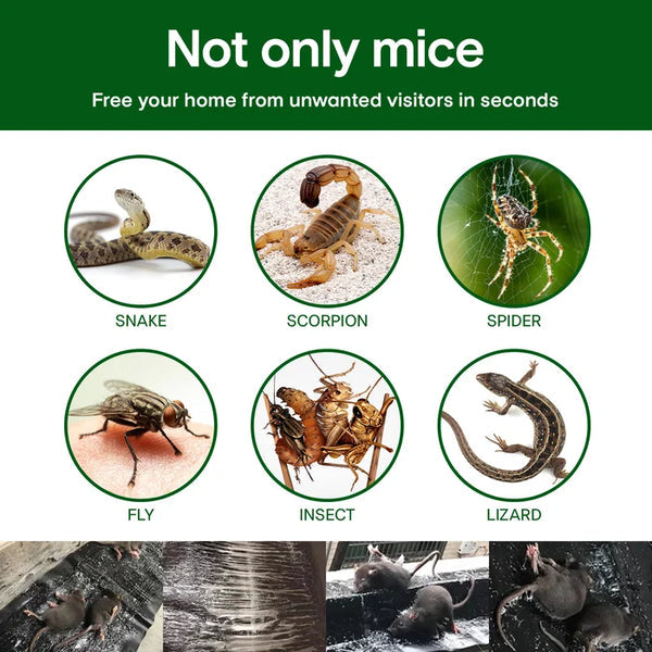 【vegyen egyet és kapjon egyet ingyen】Nagy ragacsos egérfogó