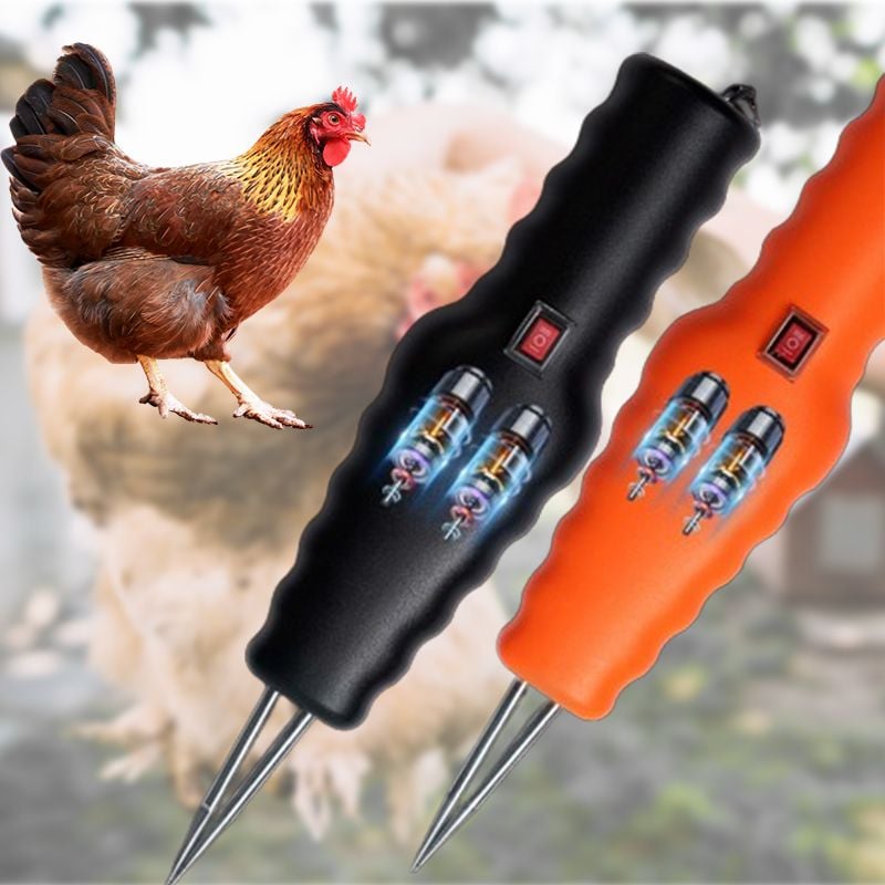 đElektromos gyors hajhĂșzĂĄsïŒkönnyĂtsd meg a dolgokat.ïŒ