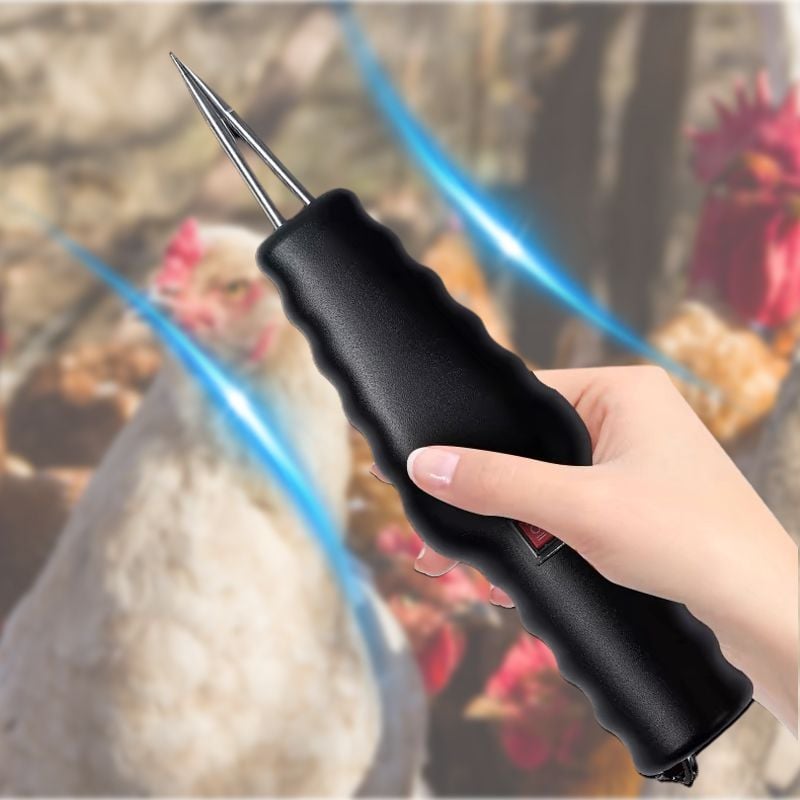 đElektromos gyors hajhĂșzĂĄsïŒkönnyĂtsd meg a dolgokat.ïŒ