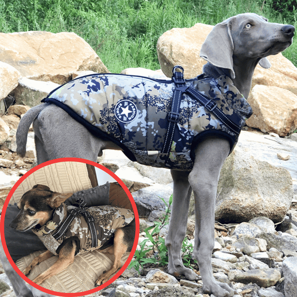 🔥Hot Sale -50% OFF🔥 3 in 1 Winter Waterproof Warm Dog Jacket With Built-in Harness