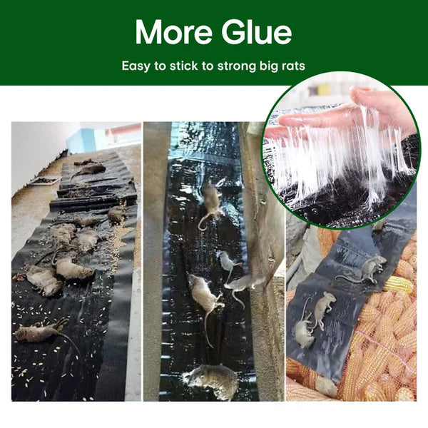 【vegyen egyet és kapjon egyet ingyen】Nagy ragacsos egérfogó