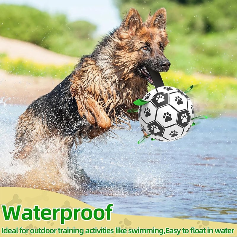 🐕⚽Kutya foci játék