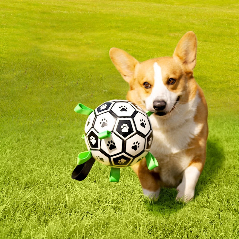 🐕⚽Kutya foci játék