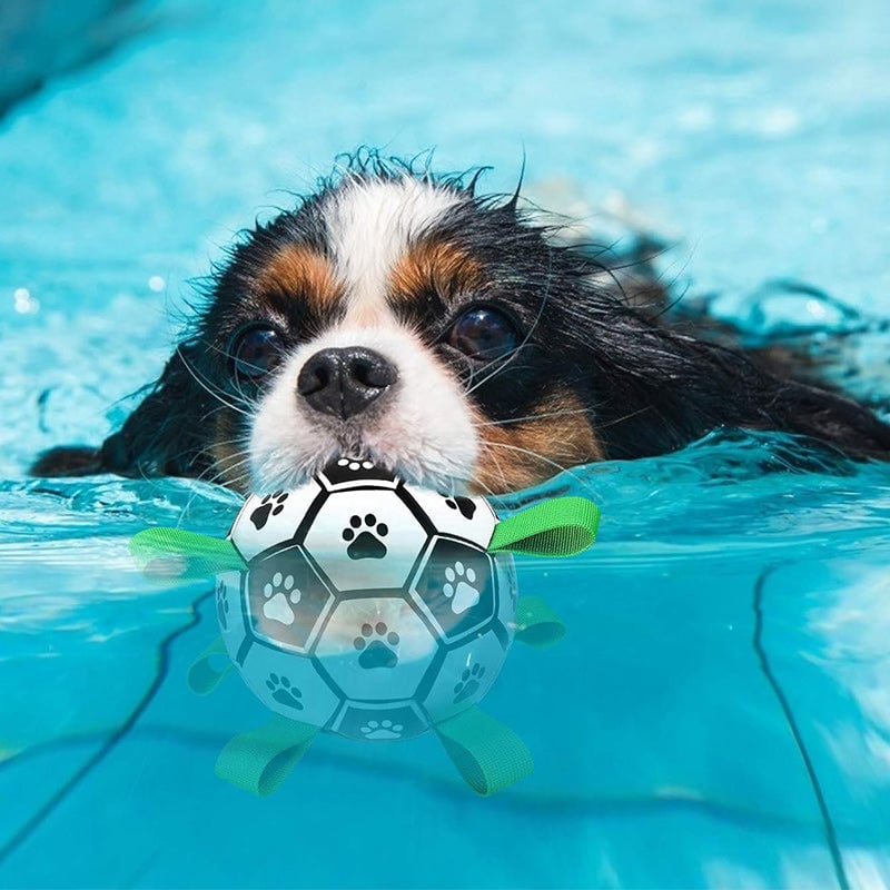 🐕⚽Kutya foci játék