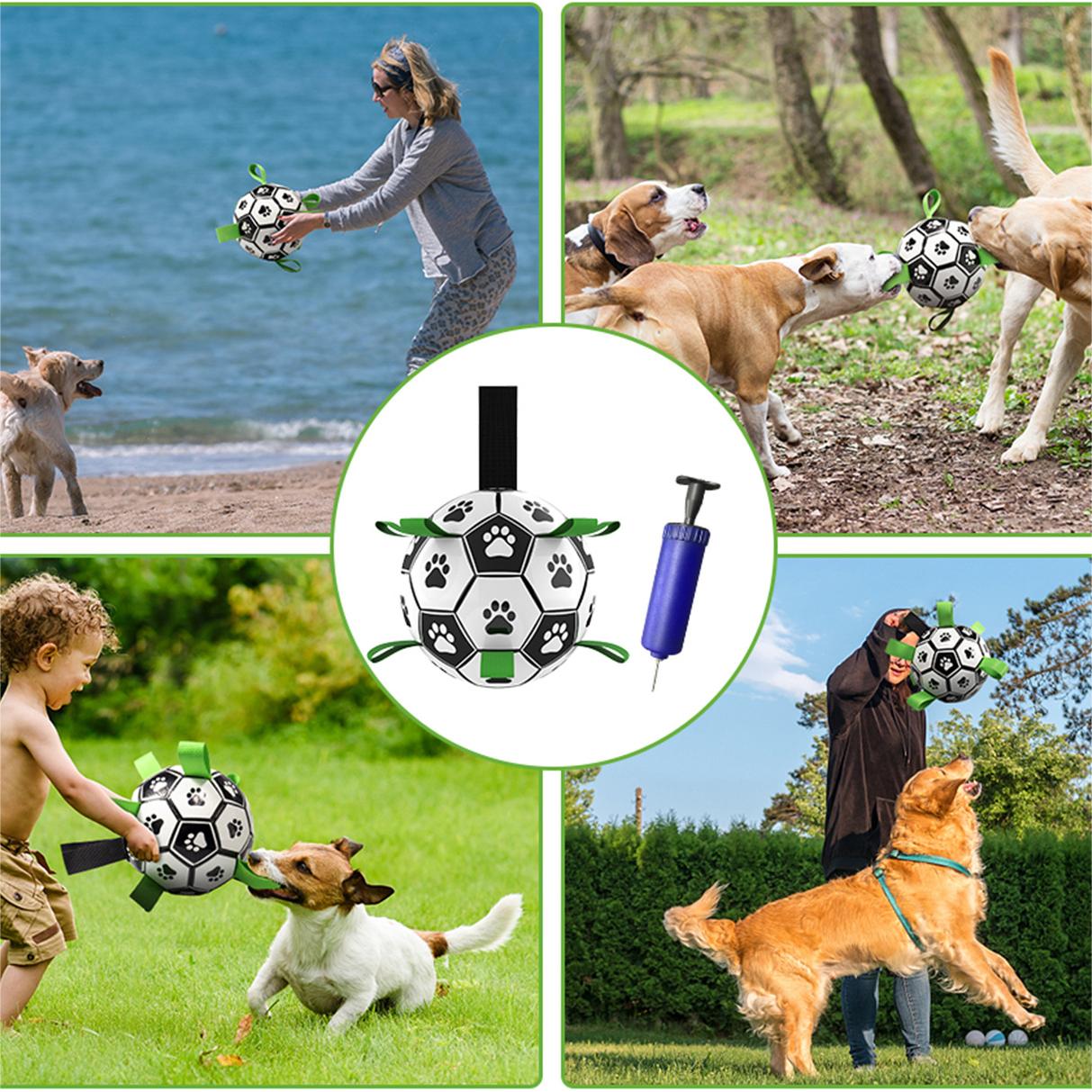 🐕⚽Kutya foci játék