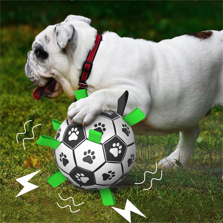 🐕⚽Kutya foci játék