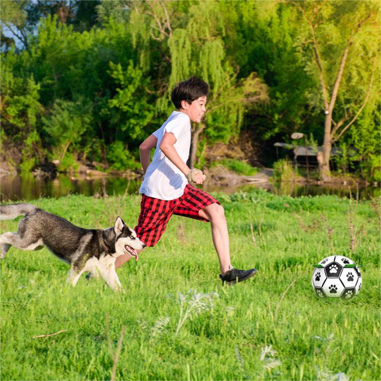 🐕⚽Kutya foci játék