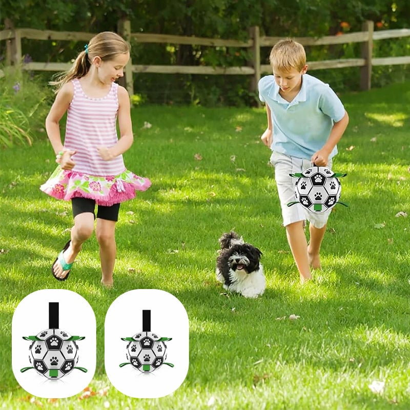 🐕⚽Kutya foci játék