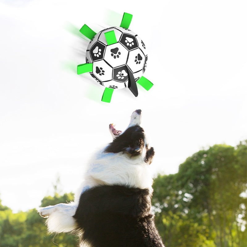🐕⚽Kutya foci játék