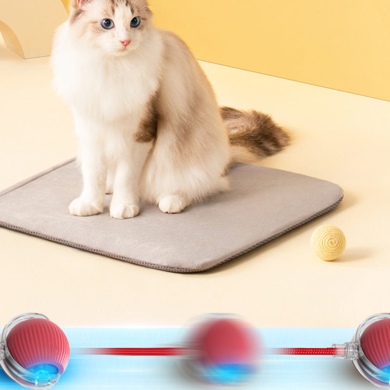 🐱🐶Intelligens, automata gördülő kisállatlabda