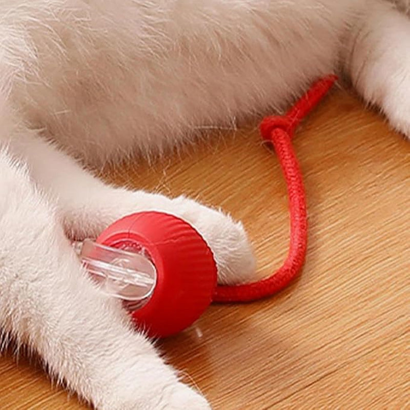 🐱🐶Intelligens, automata gördülő kisállatlabda