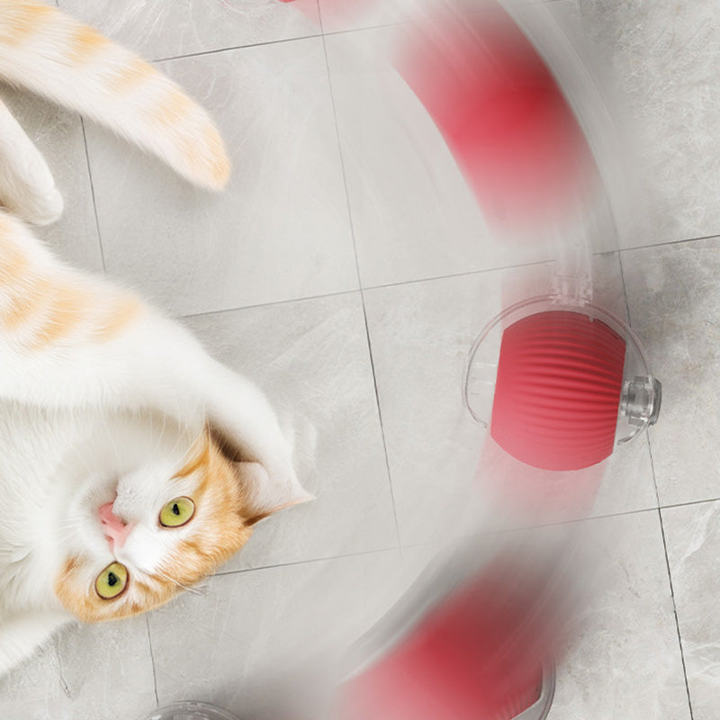🐱🐶Intelligens, automata gördülő kisállatlabda