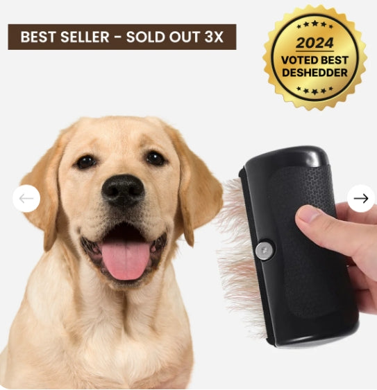 🐈‍⬛🐶 Ugyanaz a szőrfésű, mint amit a kutyakozmetikákban használnak