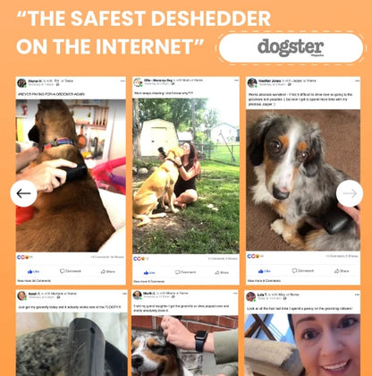 🐈‍⬛🐶 Ugyanaz a szőrfésű, mint amit a kutyakozmetikákban használnak