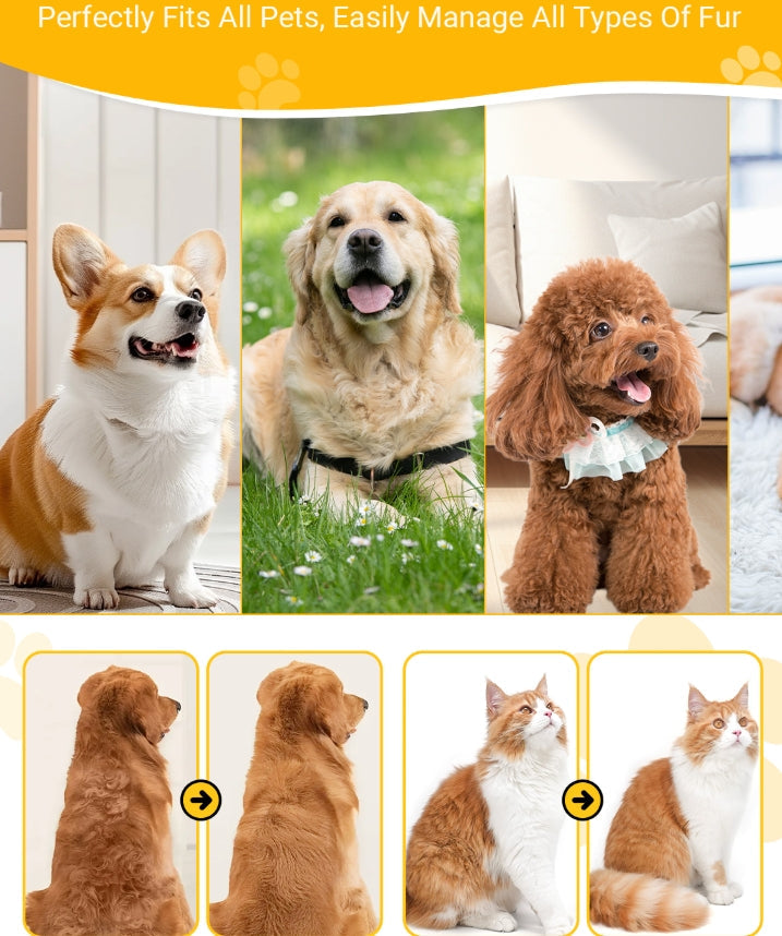 🐈‍⬛🐶 Ugyanaz a szőrfésű, mint amit a kutyakozmetikákban használnak