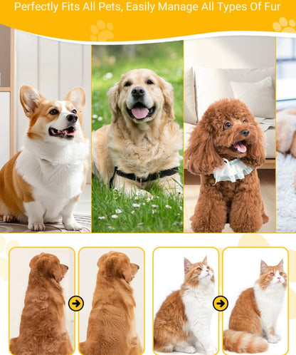 🐈‍⬛🐶 Ugyanaz a szőrfésű, mint amit a kutyakozmetikákban használnak