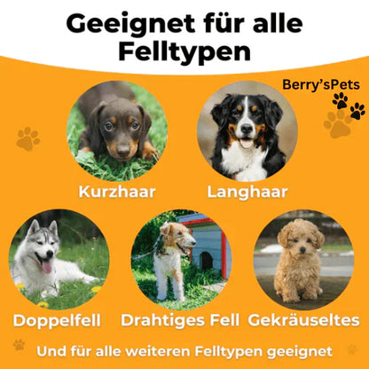 💥Haustiere🐕Professionelle Bürsten