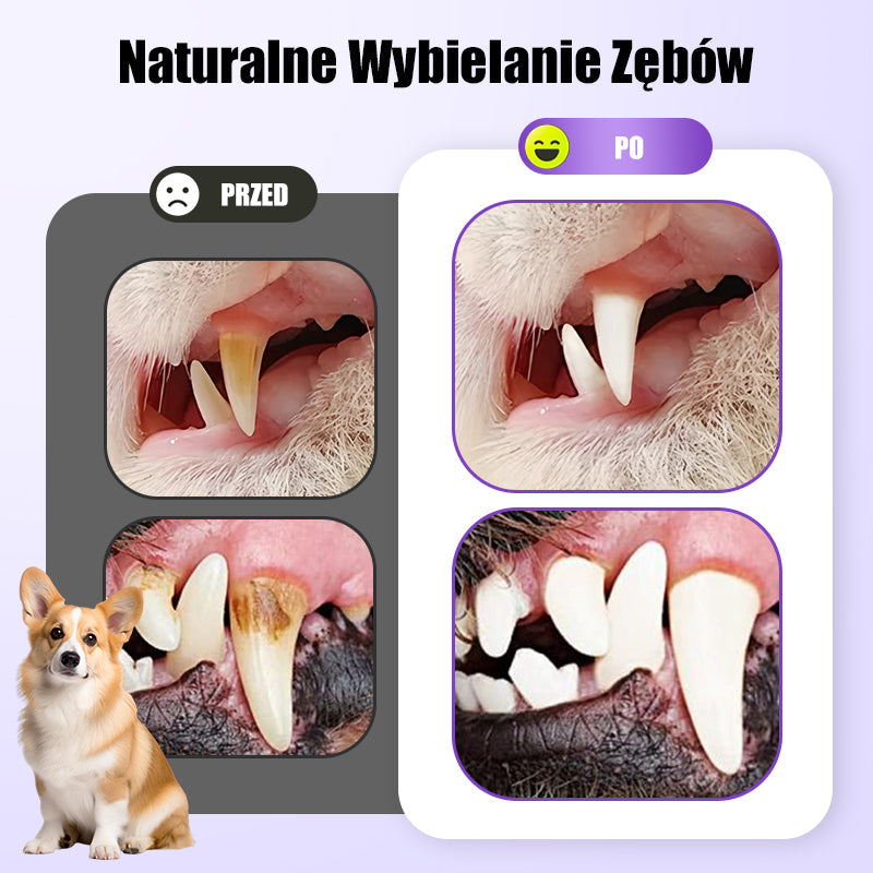 🐕Vásároljon 1et és kapjon 1et ingyen🐱 Orális helyreállító gél háziállatoknak🦷