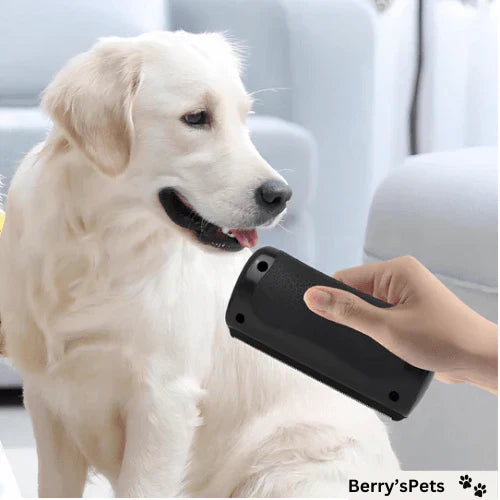 🐈‍⬛🐶 Ugyanaz a szőrfésű, mint amit a kutyakozmetikákban használnak