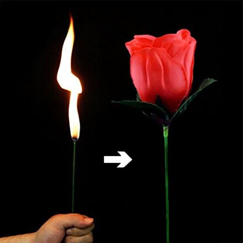 🎁Romantic surprise🌹Magic Rose - Torch to Rose💖