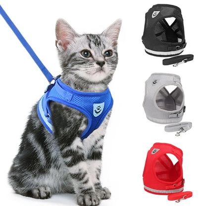🐱🌙✨ Fényvisszaverő csíkkal ellátott, állítható és lélegző macskahordozó – biztonságosabbá és kényelmesebbé teszi a sétát, és éjszaka is jobban láthatóvá teszi a macskát 🐾