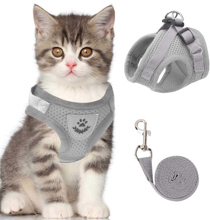 🐱🌙✨ Fényvisszaverő csíkkal ellátott, állítható és lélegző macskahordozó – biztonságosabbá és kényelmesebbé teszi a sétát, és éjszaka is jobban láthatóvá teszi a macskát 🐾
