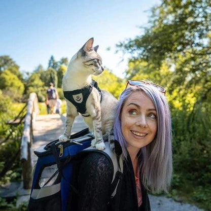 🐱🌙✨ Fényvisszaverő csíkkal ellátott, állítható és lélegző macskahordozó – biztonságosabbá és kényelmesebbé teszi a sétát, és éjszaka is jobban láthatóvá teszi a macskát 🐾