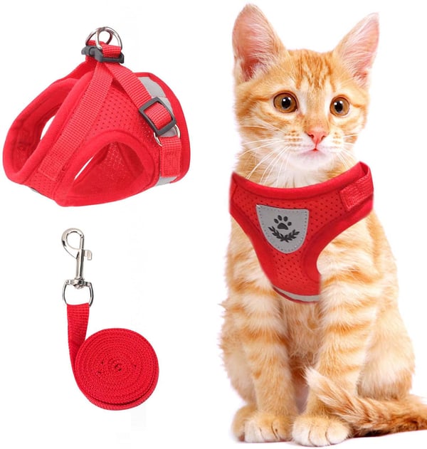 🐱🌙✨ Fényvisszaverő csíkkal ellátott, állítható és lélegző macskahordozó – biztonságosabbá és kényelmesebbé teszi a sétát, és éjszaka is jobban láthatóvá teszi a macskát 🐾