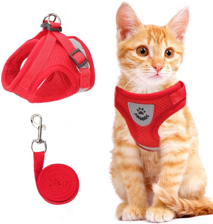 🐱🌙✨ Fényvisszaverő csíkkal ellátott, állítható és lélegző macskahordozó – biztonságosabbá és kényelmesebbé teszi a sétát, és éjszaka is jobban láthatóvá teszi a macskát 🐾