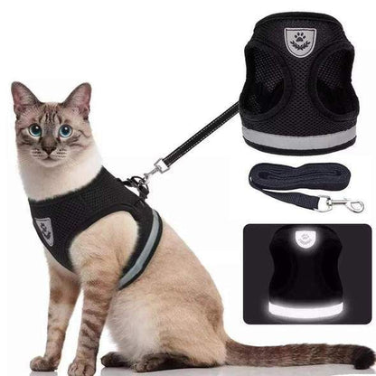 🐱🌙✨ Fényvisszaverő csíkkal ellátott, állítható és lélegző macskahordozó – biztonságosabbá és kényelmesebbé teszi a sétát, és éjszaka is jobban láthatóvá teszi a macskát 🐾