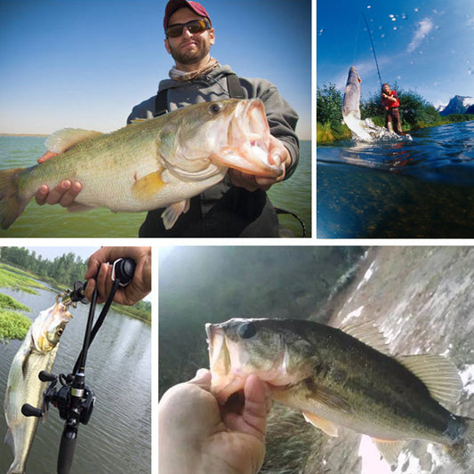🎣Élethű, többszörösen összeillesztett süllyedő horgászcsali