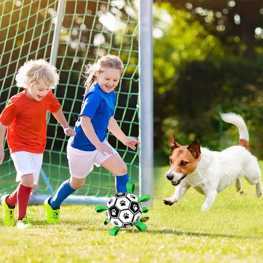 🐕⚽Kutya foci játék