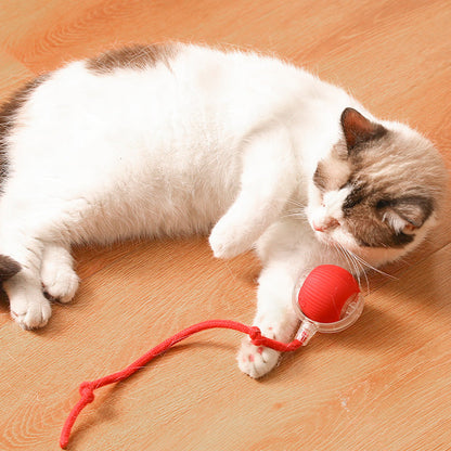 🐱🐶Intelligens, automata gördülő kisállatlabda