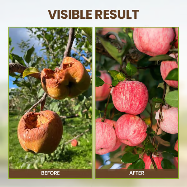 【1+1 ingyen 】Szezonális promóció - Talajaktivátor🌱