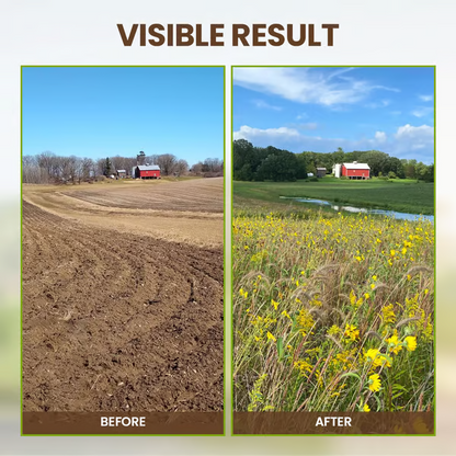 【1+1 ingyen 】Szezonális promóció - Talajaktivátor🌱