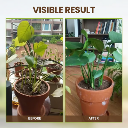 【1+1 ingyen 】Szezonális promóció - Talajaktivátor🌱