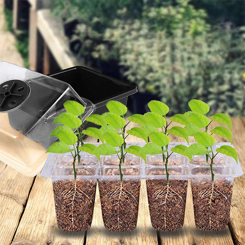 🌱 Csíráztató tálcák növényvilágító lámpával – Páratartalom-szabályozás, átlátszó kialakítás & teljes spektrumú fény 💡