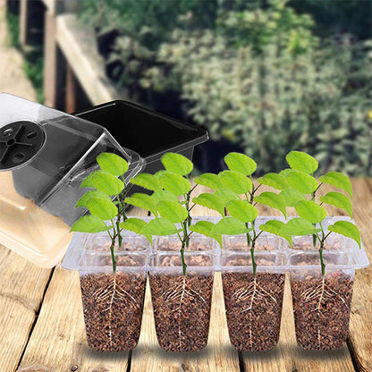 🌱 Csíráztató tálcák növényvilágító lámpával – Páratartalom-szabályozás, átlátszó kialakítás & teljes spektrumú fény 💡