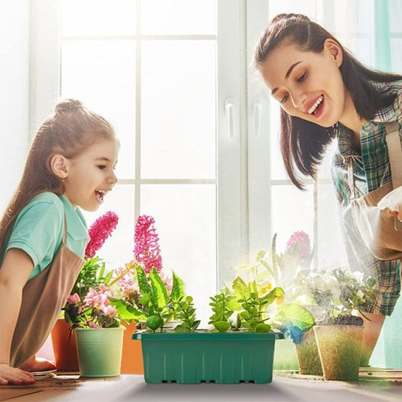 🌱 Csíráztató tálcák növényvilágító lámpával – Páratartalom-szabályozás, átlátszó kialakítás & teljes spektrumú fény 💡