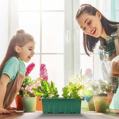 🌱 Csíráztató tálcák növényvilágító lámpával – Páratartalom-szabályozás, átlátszó kialakítás & teljes spektrumú fény 💡
