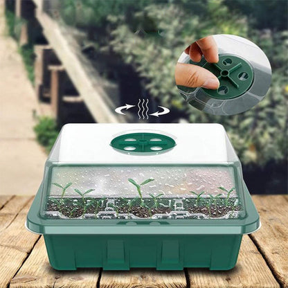 🌱 Csíráztató tálcák növényvilágító lámpával – Páratartalom-szabályozás, átlátszó kialakítás & teljes spektrumú fény 💡