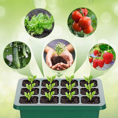 🌱 Csíráztató tálcák növényvilágító lámpával – Páratartalom-szabályozás, átlátszó kialakítás & teljes spektrumú fény 💡