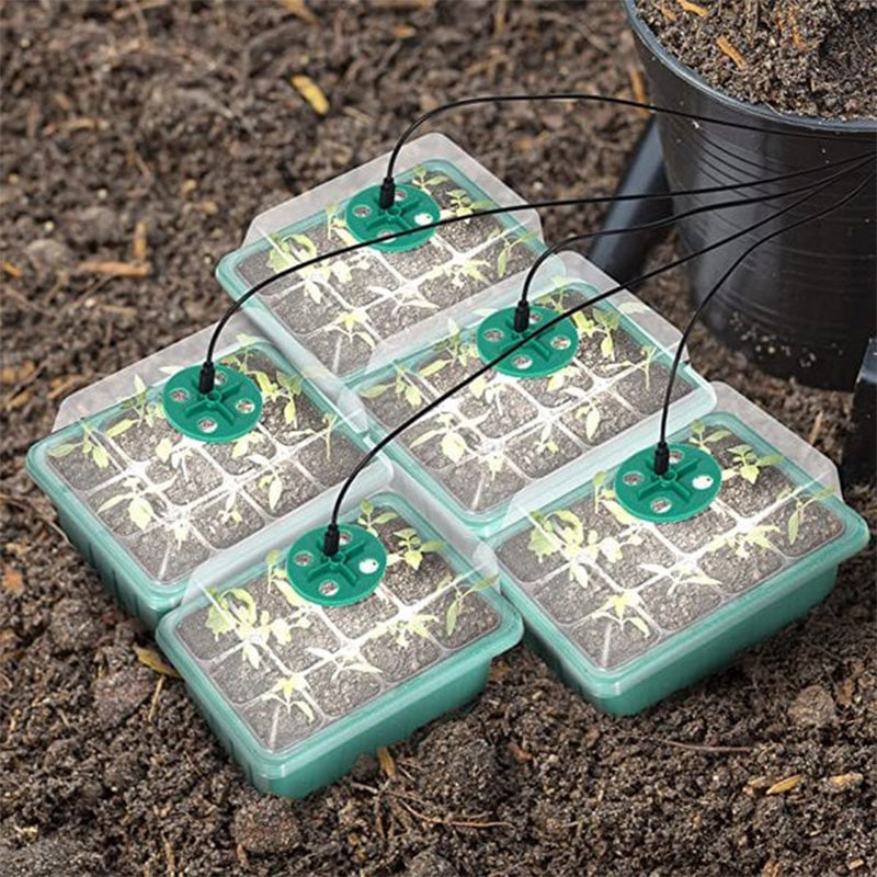 🌱 Csíráztató tálcák növényvilágító lámpával – Páratartalom-szabályozás, átlátszó kialakítás & teljes spektrumú fény 💡