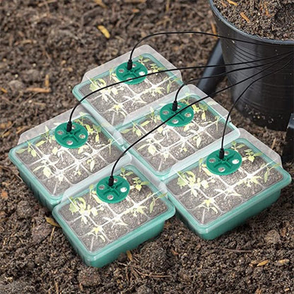 🌱 Csíráztató tálcák növényvilágító lámpával – Páratartalom-szabályozás, átlátszó kialakítás & teljes spektrumú fény 💡