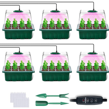 🌱 Csíráztató tálcák növényvilágító lámpával – Páratartalom-szabályozás, átlátszó kialakítás & teljes spektrumú fény 💡