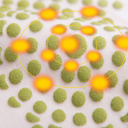 🌿Téli fekete üröm magas rugalmasságú derékmelegítő