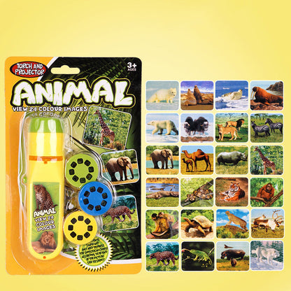 🦖Oktatási projektor játék tematikus diákkal