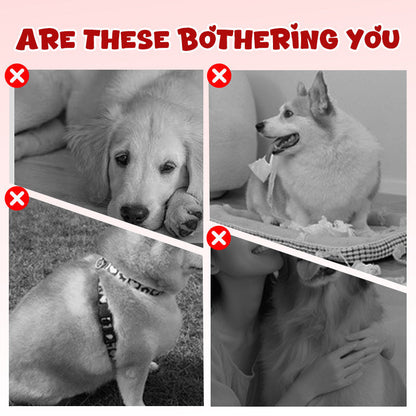 Okos interaktív játék háziállatoknak – labda