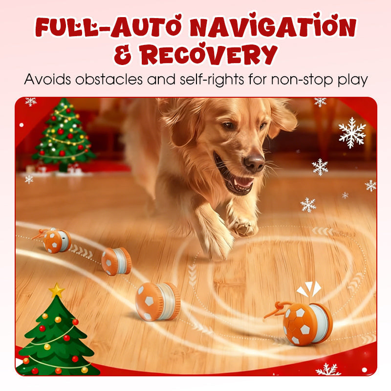 Okos interaktív játék háziállatoknak – labda